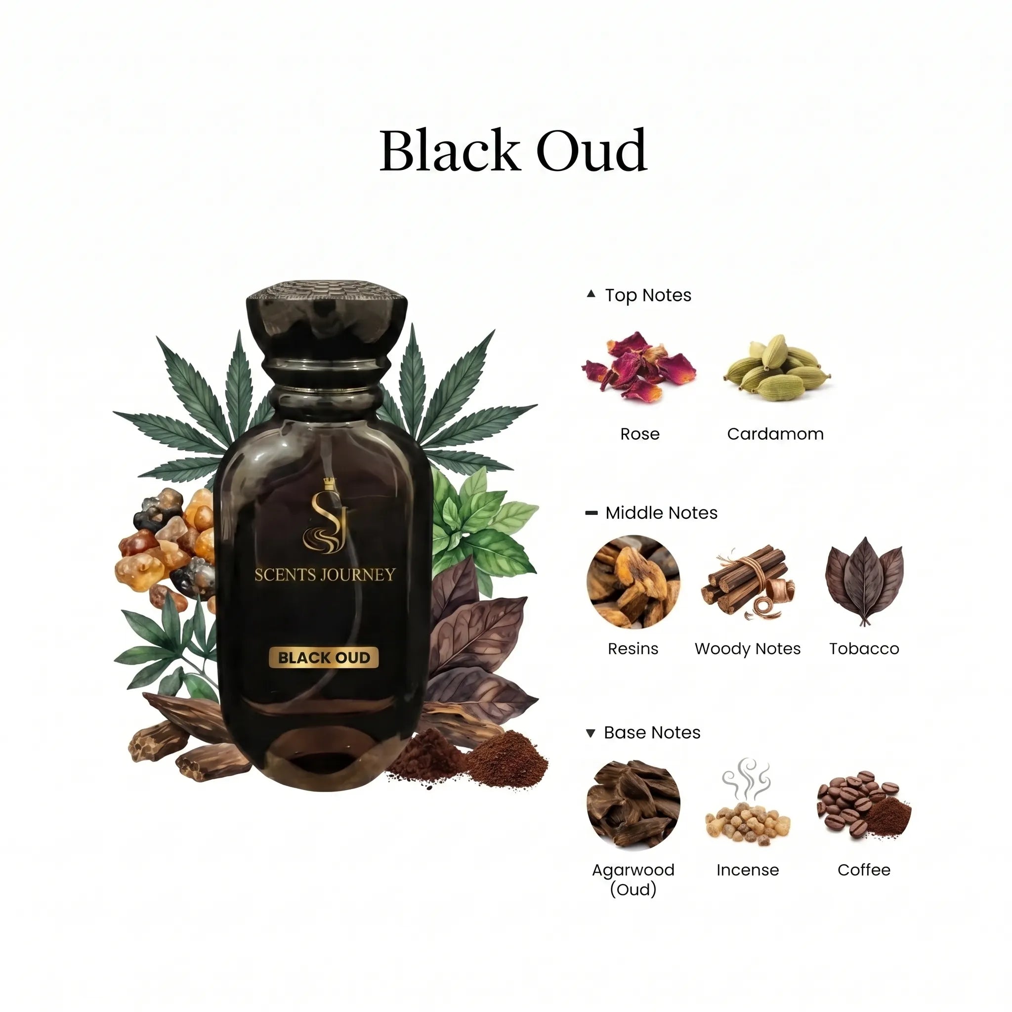 black oud price in pakistan
