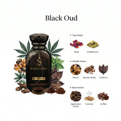 black oud price in pakistan