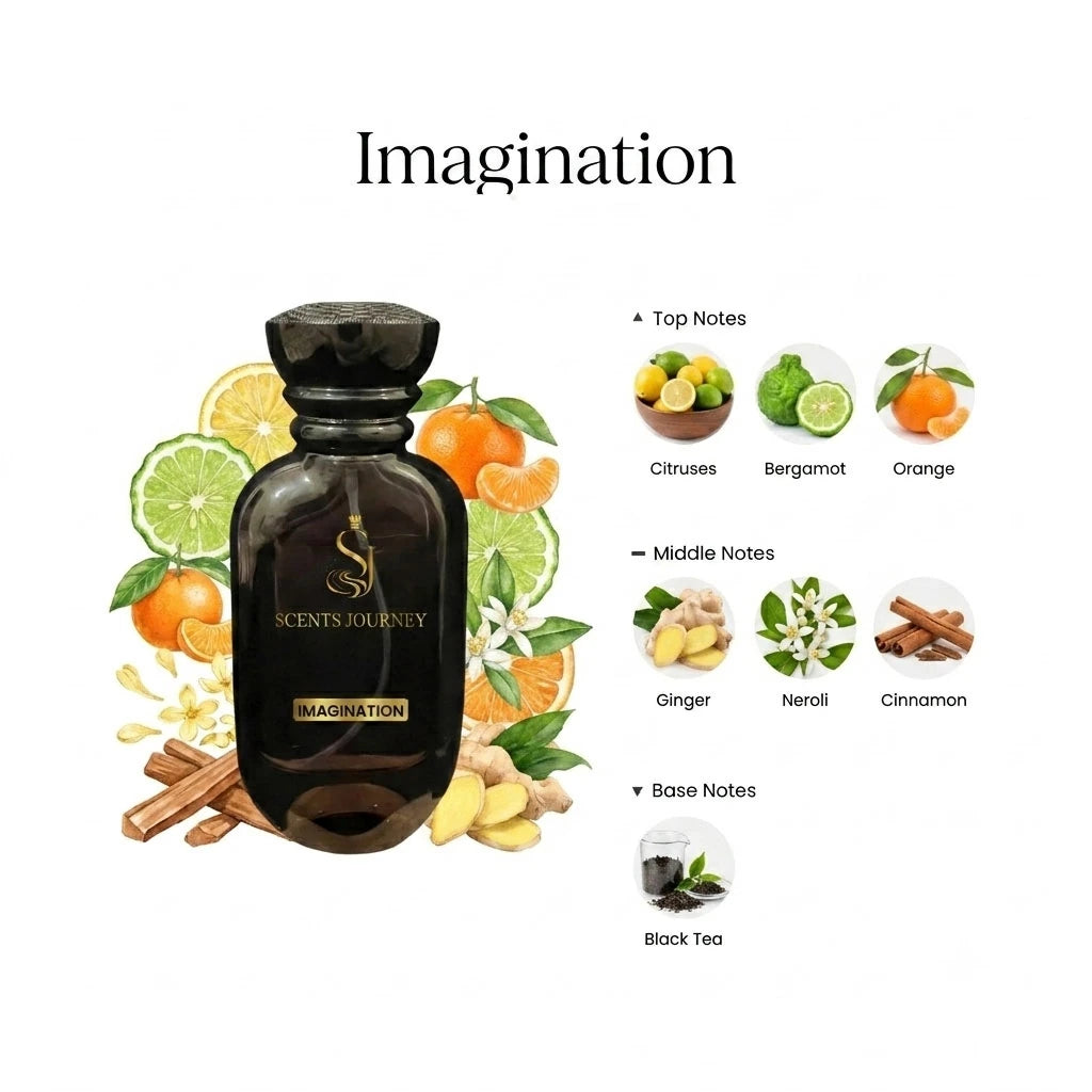 LV Imagination 