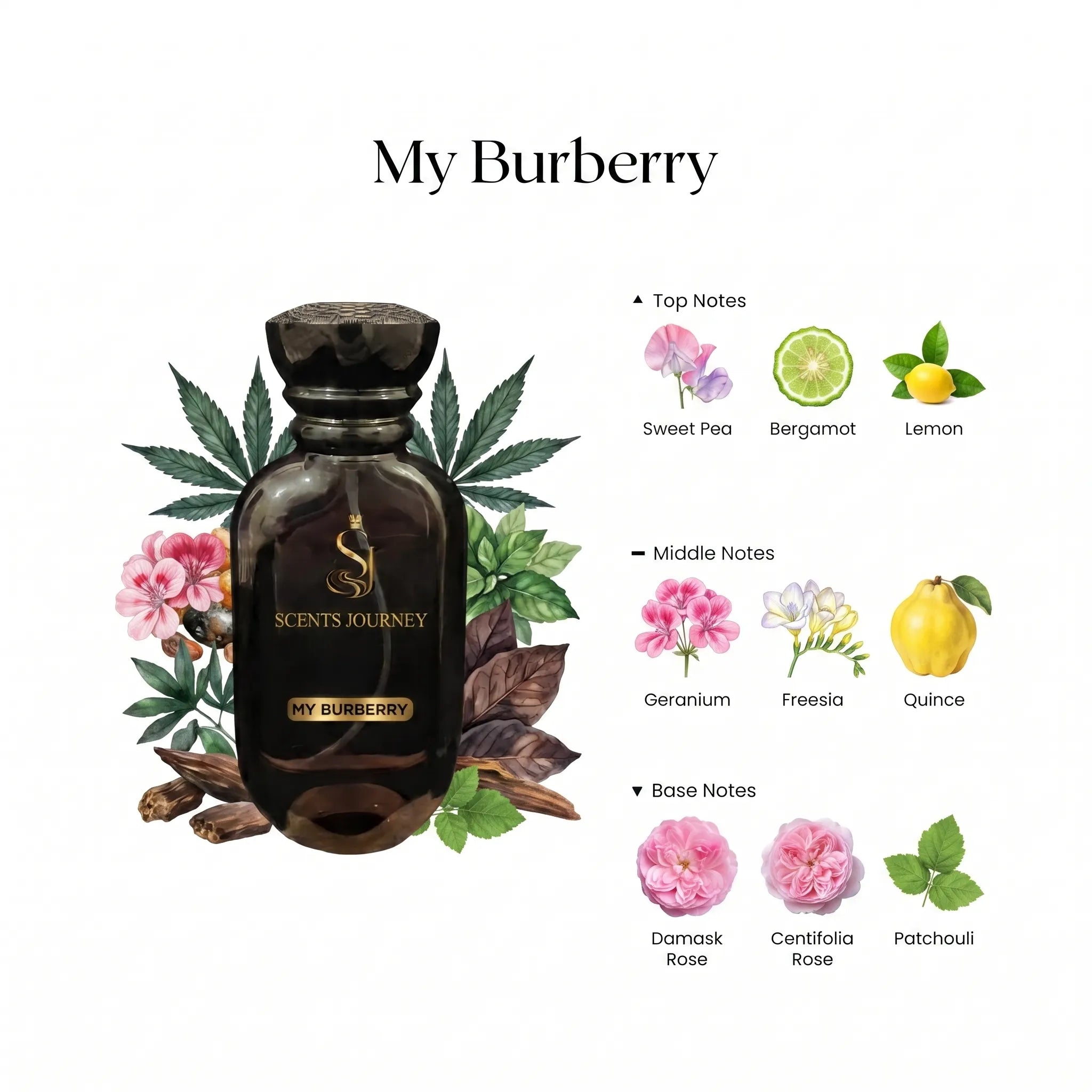 my burberry perfume price in pakistan