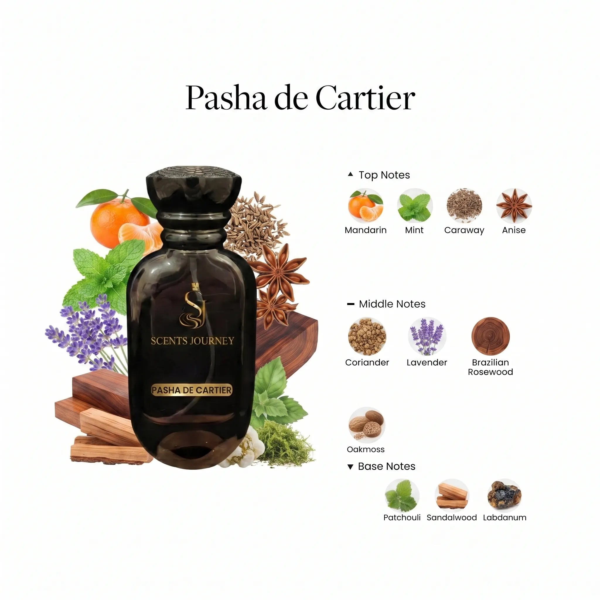 pasha de cartier perfume