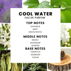 Davidoff Cool Water Perfume